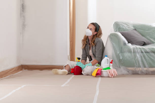 Reliable Basement Mold Removal contractor in Buies Creek, NC by WQB Mold Removal